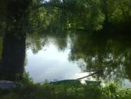 СОЛОНИЦЯ СТОЛИЦЯ