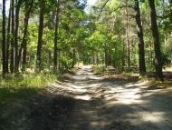 Рідна природа