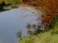 Середня Деражня - Останні фото