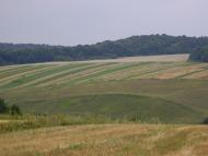 Мої Дубівці