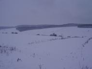 Мої Дубівці