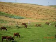 Краєвиди села