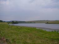 Мої Дубівці