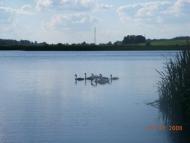 Краєвиди села