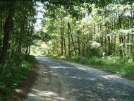 Рідна природа