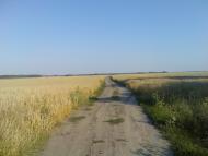 Ступник Сьогодні