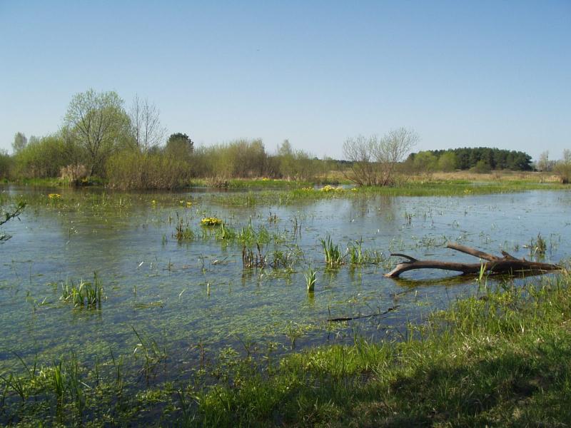 Рідна природа - Перекалля