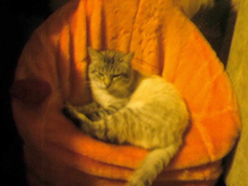 Ковпаківка - Колпаковка