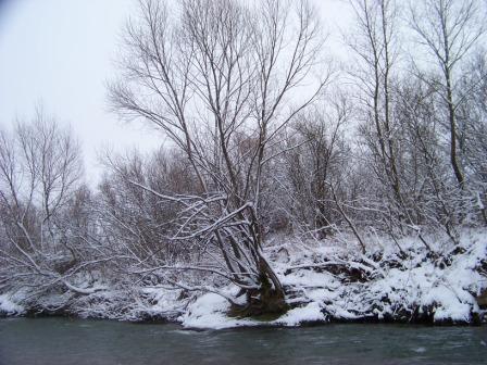 річка взимку - Надиби