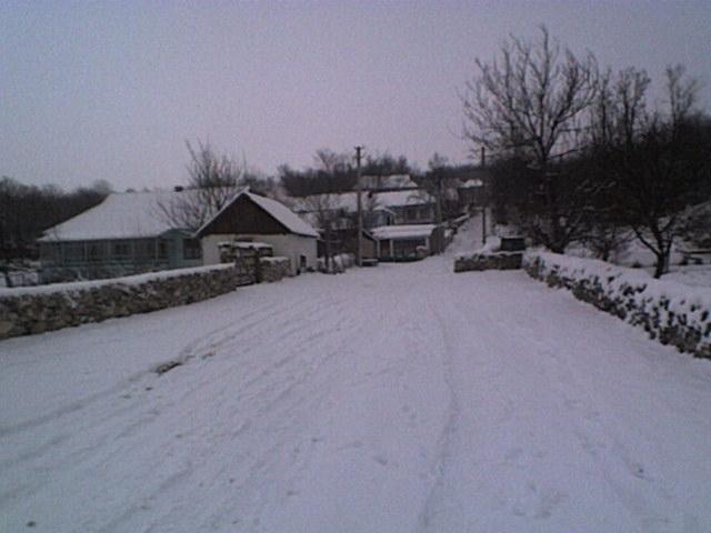 РІДНЕ СЕЛО - Болган