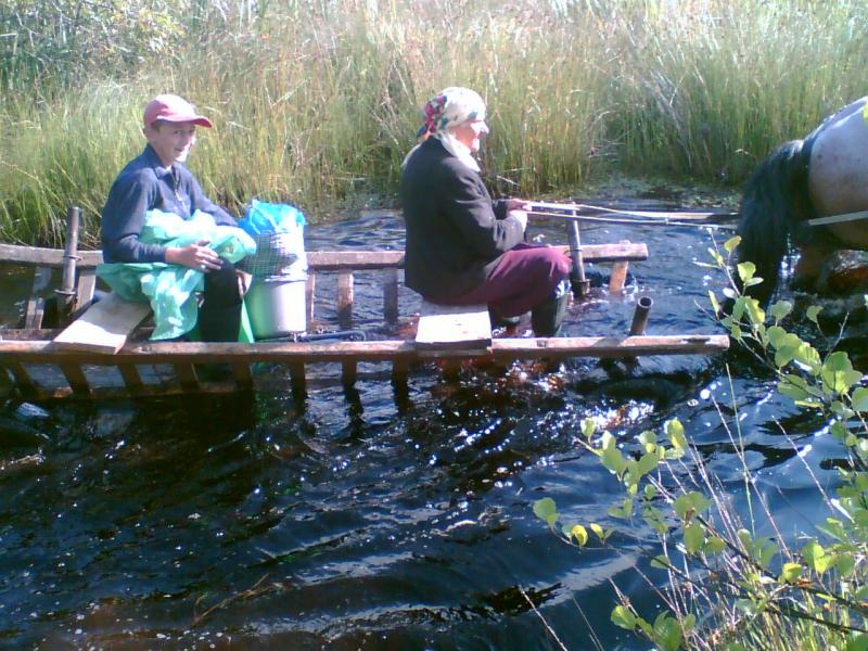 Ну і ну... - Переброди