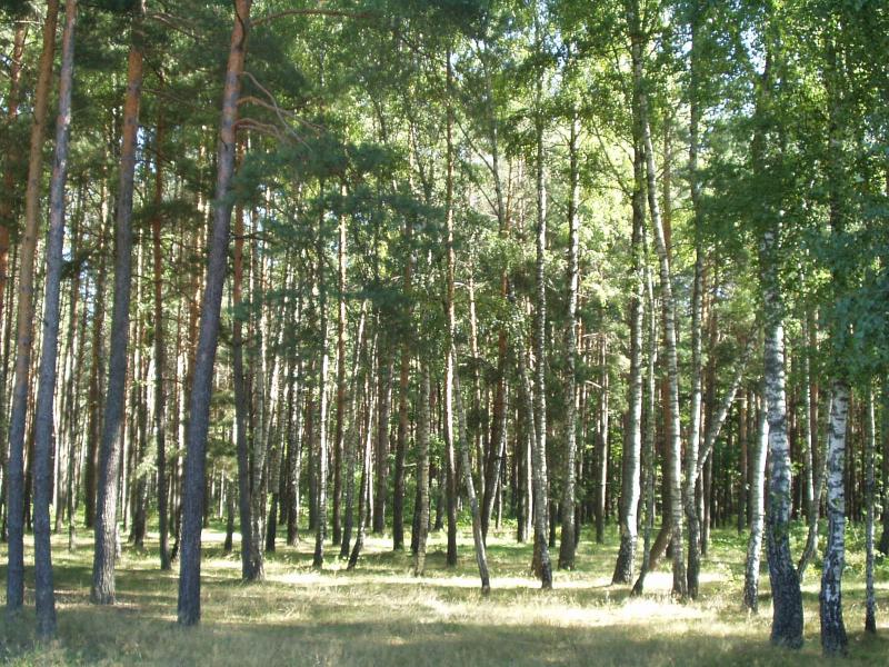 Рідна природа - Перекалля