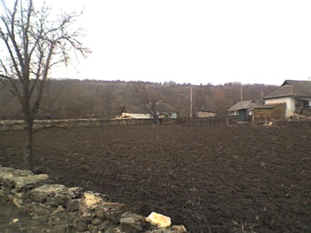 РІДНЕ СЕЛО - Bolgan