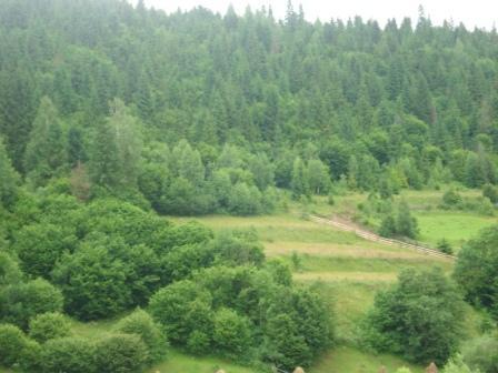 Н.-Висоцьке - Нижнє Висоцьке