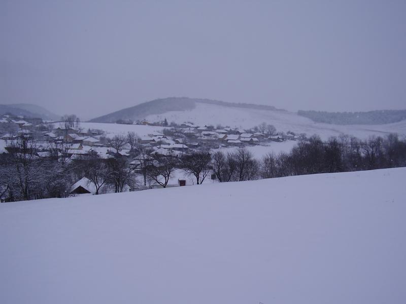 Мої Дубівці - Дубівці
