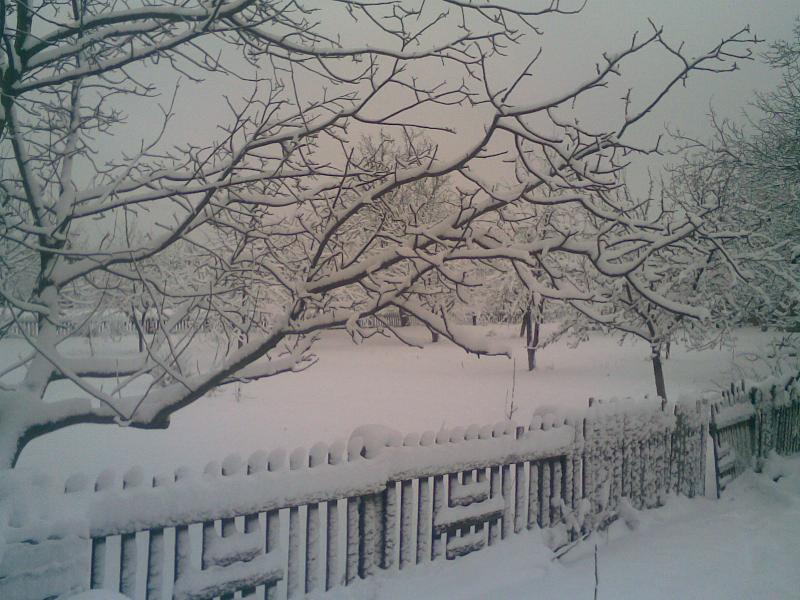 ДОХНЯНСЬКІ КРАЄВИДИ - Дохно