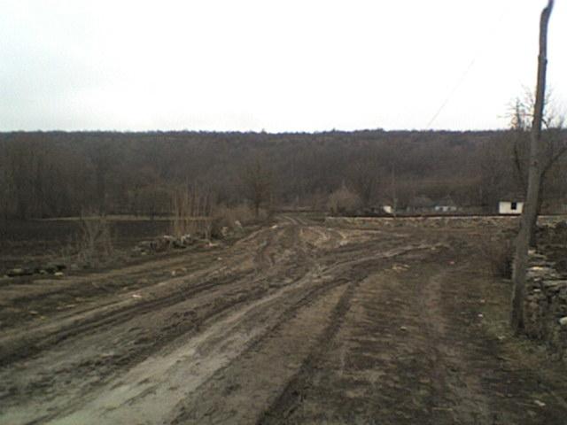 РІДНЕ СЕЛО - Болган