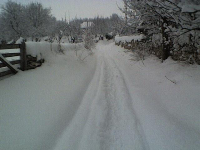 РІДНЕ СЕЛО - Bolgan
