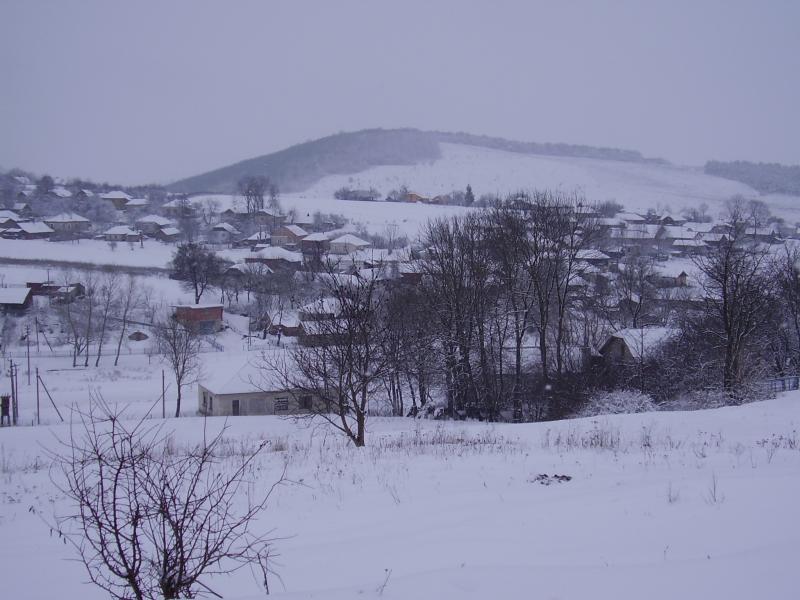 Мої Дубівці - Дубівці