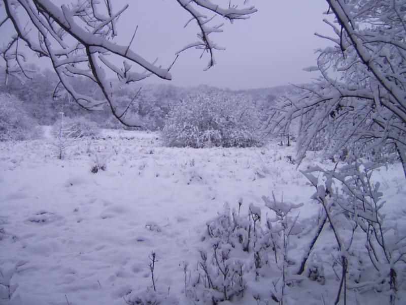 ганачівка - Ганачівка