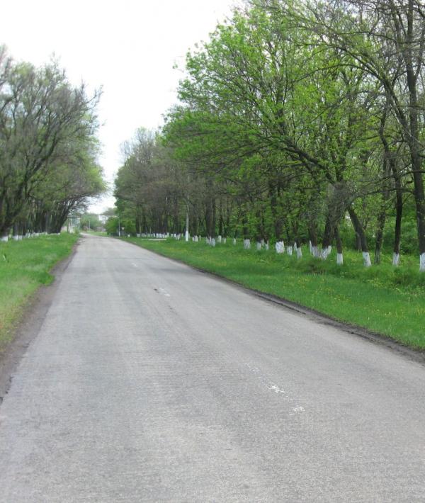 Ляшківка сьогодні - Ляшківка