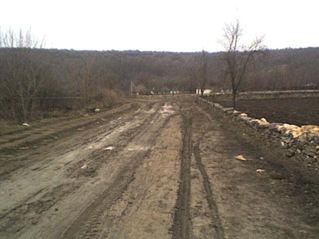РІДНЕ СЕЛО - Bolgan