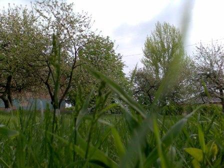 фото - Оборотнівка