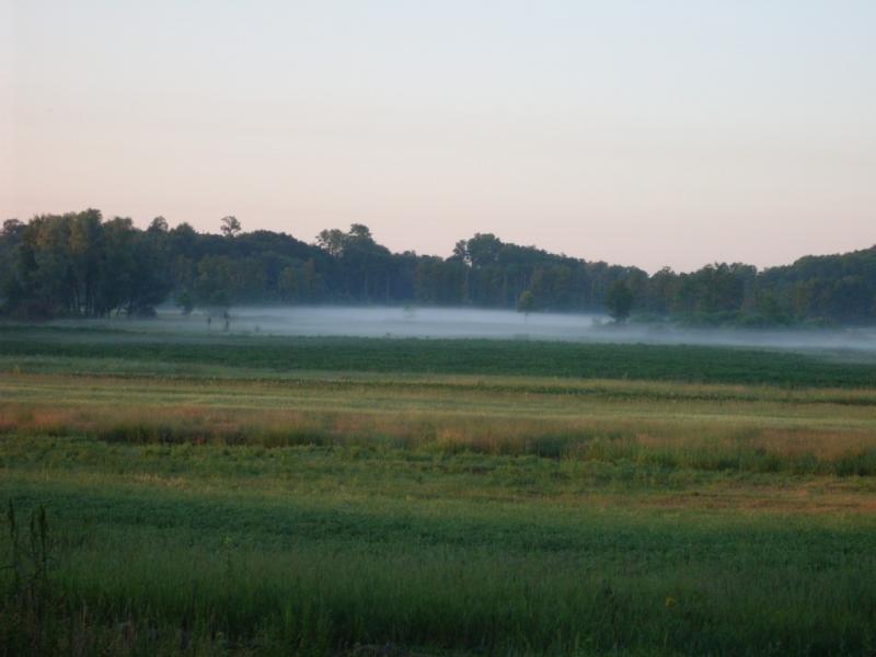 Моє село - Ковтуни