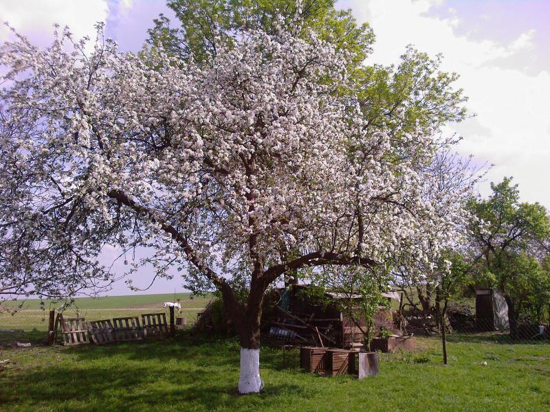 Ступник Сьогодні - Ступник