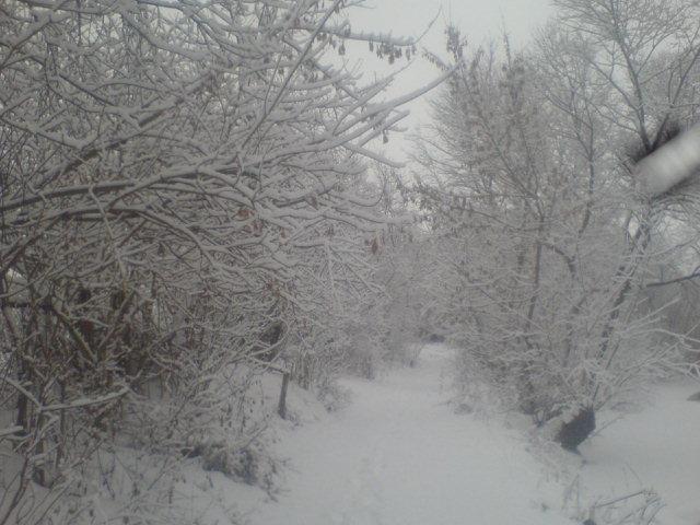 аіва - Голенищеве