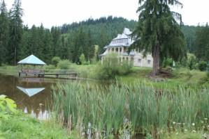 Лісництва села - Селятин