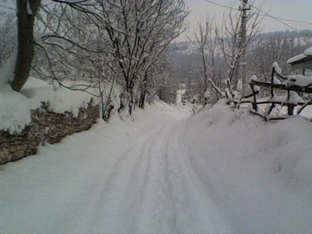РІДНЕ СЕЛО - Bolgan