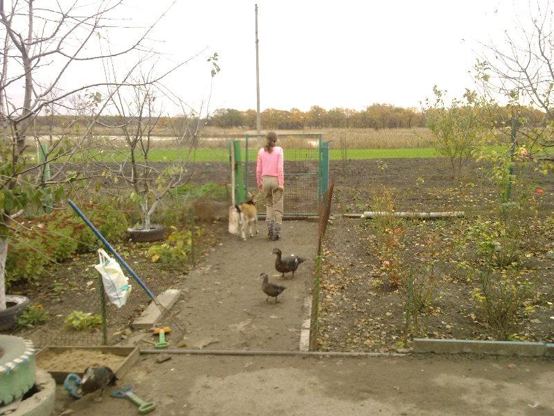 Ковпаківка - Колпаковка