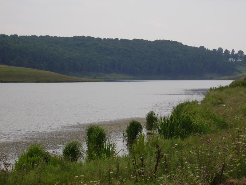 Дубівці - Дубівці