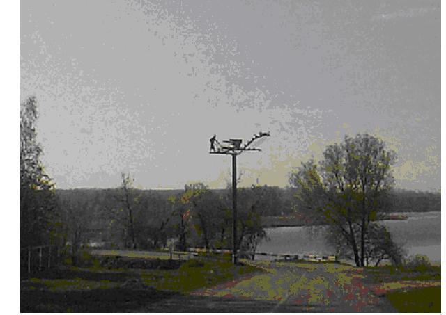 Село і довкілля - Лобачев