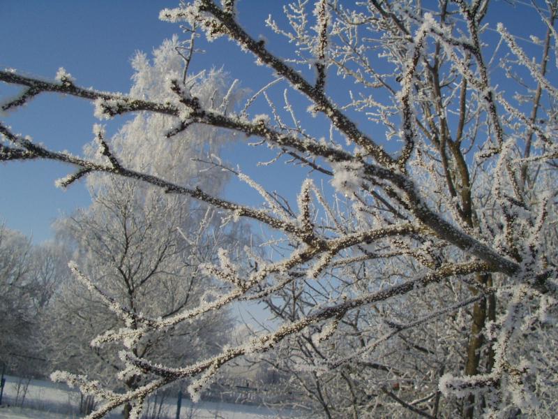 Рідна природа - Перекалье