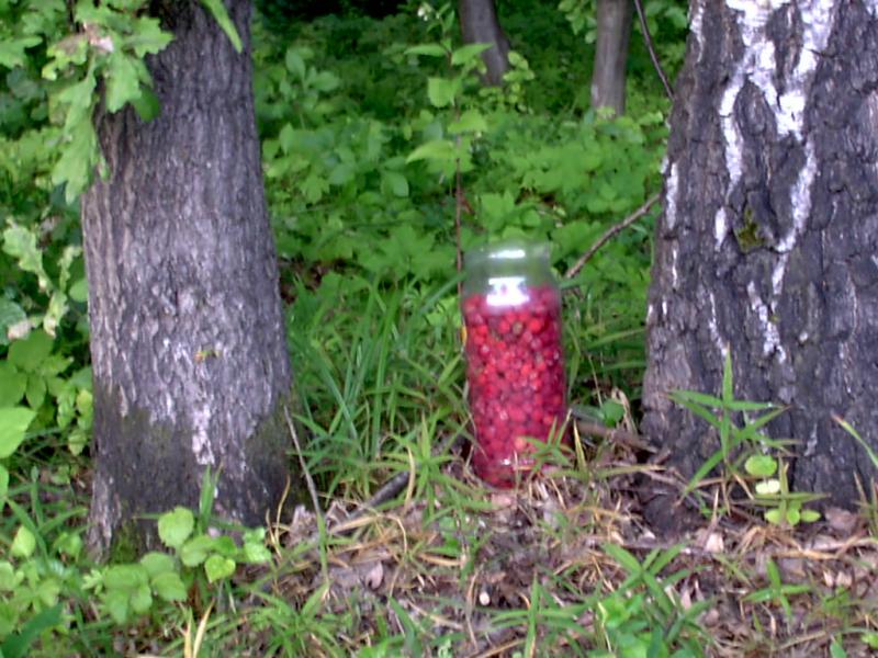 Село і люди - Мала Кужелівка