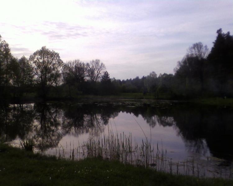 Околиці Плужного - Плужное