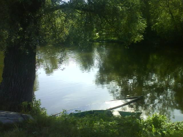 СОЛОНИЦЯ СТОЛИЦЯ - Солониця