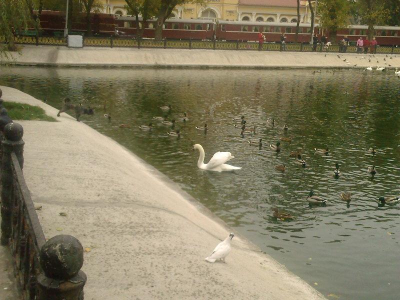 Ковпаківка - Колпаковка