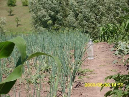 пейзажі - Ненадиха