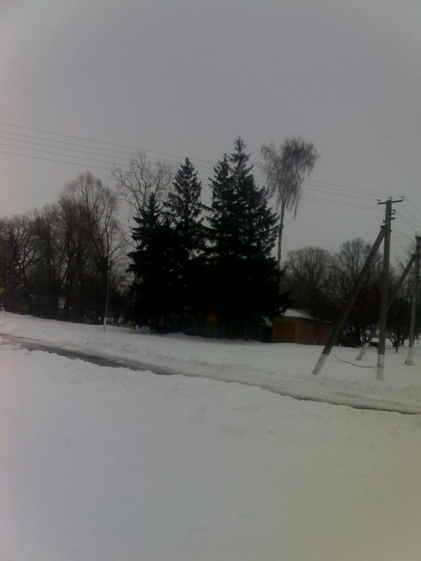 Вигін - Козельное