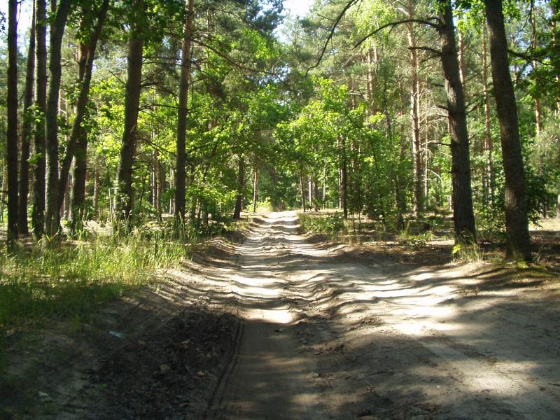 Рідна природа - Перекалля