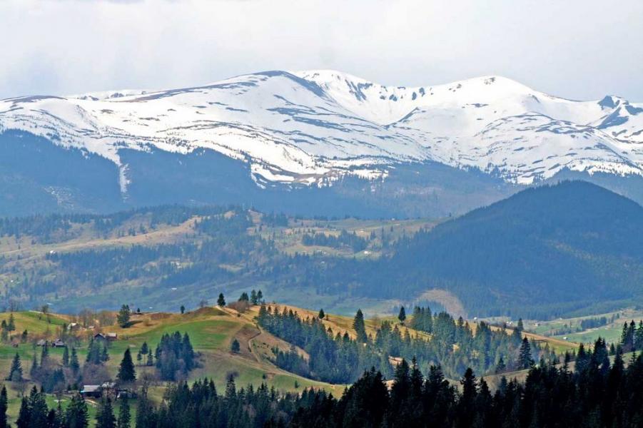 Лазещина - Лазещина