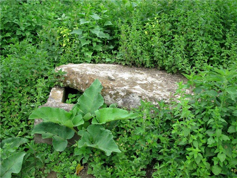 так - Василів