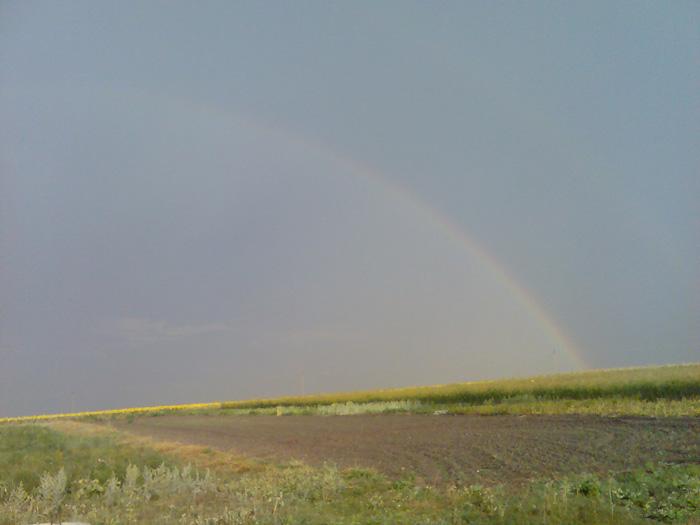 моє село - Жовте