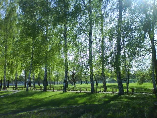 СОЛОНИЦЯ СТОЛИЦЯ - Солониця