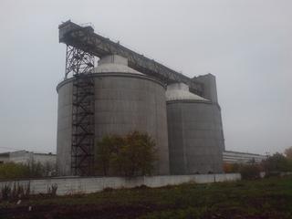 teo - Теофиполь