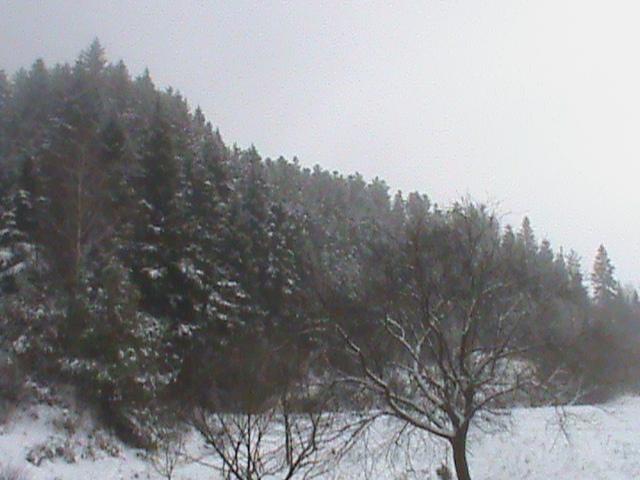 Моє Волошиново - Волошиново