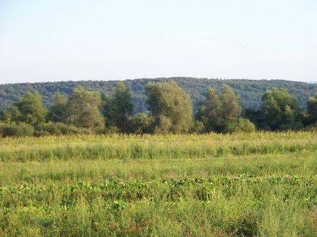 Мальовничий рідний край - Надиби